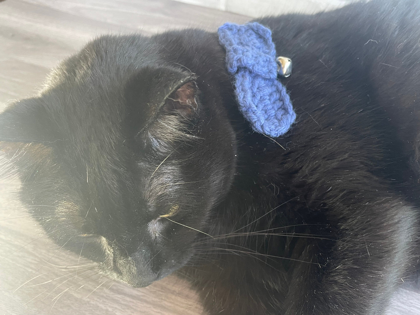 Cat bowtie