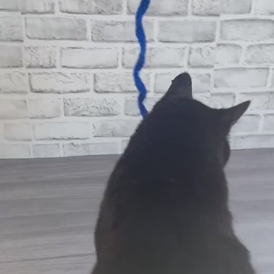 Cat Swirl Teaser Toy