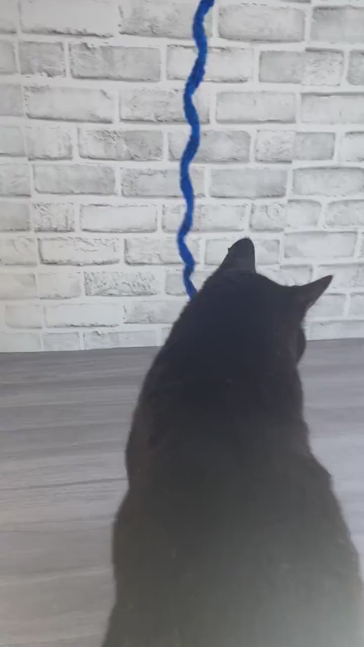 Cat Swirl Teaser Toy